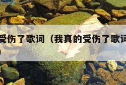 我真的受伤了歌词（我真的受伤了歌词表达什么情感）