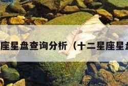 十二星座星盘查询分析（十二星座星盘解释）