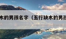 五行缺木的男孩名字（五行缺木的男孩名字属蛇）