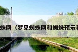 梦见蜘蛛网（梦见蜘蛛网和蜘蛛预示着什么）