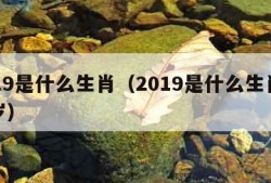 2019是什么生肖（2019是什么生肖犯太岁）