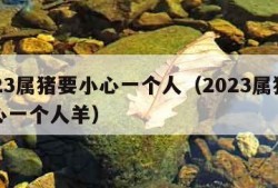 2023属猪要小心一个人（2023属猪要小心一个人羊）