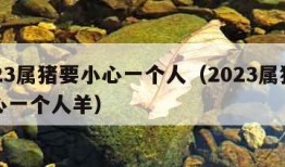 2023属猪要小心一个人（2023属猪要小心一个人羊）