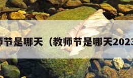 教师节是哪天（教师节是哪天2023年）