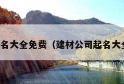 公司起名大全免费（建材公司起名大全免费）