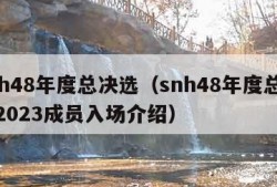 snh48年度总决选（snh48年度总决选2023成员入场介绍）