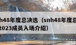 snh48年度总决选（snh48年度总决选2023成员入场介绍）