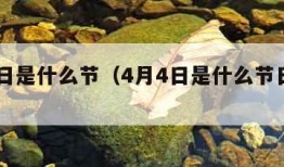 4月4日是什么节（4月4日是什么节日啊英语）