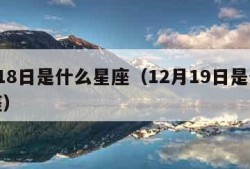 1月18日是什么星座（12月19日是什么星座）