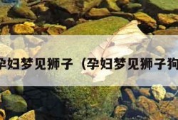 孕妇梦见狮子（孕妇梦见狮子狗）