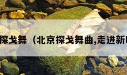 北京探戈舞（北京探戈舞曲,走进新时代）