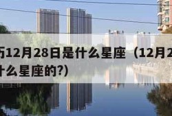 新历12月28日是什么星座（12月28日是什么星座的?）