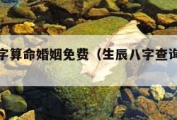 生辰八字算命婚姻免费（生辰八字查询免费婚姻）