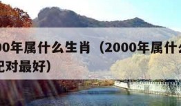 2000年属什么生肖（2000年属什么生肖配对最好）