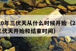 2020年三伏天从什么时候开始（2020年三伏天开始和结束时间）