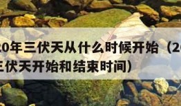 2020年三伏天从什么时候开始（2020年三伏天开始和结束时间）