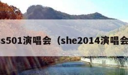 ss501演唱会（she2014演唱会）