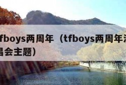 tfboys两周年（tfboys两周年演唱会主题）