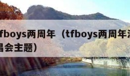 tfboys两周年（tfboys两周年演唱会主题）