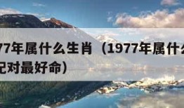 1977年属什么生肖（1977年属什么生肖配对最好命）