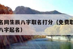 免费起名网生辰八字取名打分（免费取名字大全生辰八字起名）