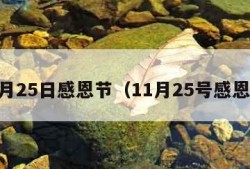 11月25日感恩节（11月25号感恩节）