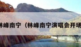 林峰南宁（林峰南宁演唱会开场）