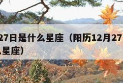 2月27日是什么星座（阳历12月27日是什么星座）