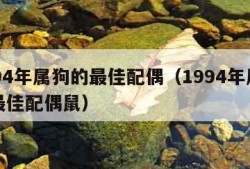 1994年属狗的最佳配偶（1994年属狗的最佳配偶鼠）