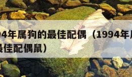 1994年属狗的最佳配偶（1994年属狗的最佳配偶鼠）