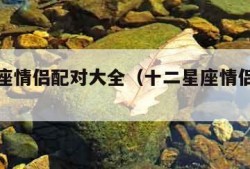 十二星座情侣配对大全（十二星座情侣搭配表）