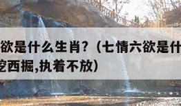 七情六欲是什么生肖?（七情六欲是什么生肖呢?东挖西掘,执着不放）