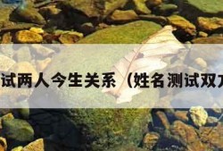 姓名测试两人今生关系（姓名测试双方关系）