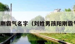 男孩阳刚霸气名字（刘姓男孩阳刚霸气名字）