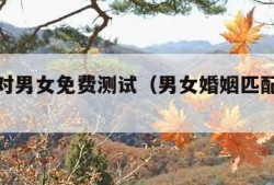 婚姻配对男女免费测试（男女婚姻匹配度测试）