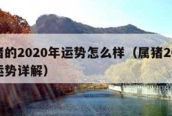 属猪的2020年运势怎么样（属猪2020年运势详解）