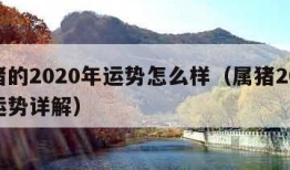 属猪的2020年运势怎么样（属猪2020年运势详解）