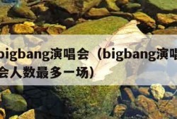 bigbang演唱会（bigbang演唱会人数最多一场）