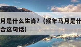 猴年马月是什么生肖?（猴年马月是什么生肖比较适合这句话）