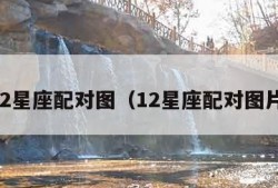 12星座配对图（12星座配对图片）