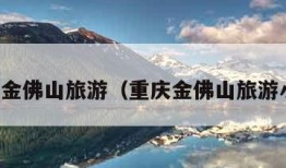 重庆金佛山旅游（重庆金佛山旅游小报）