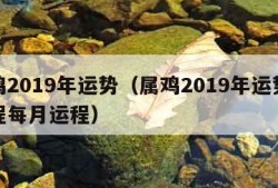 属鸡2019年运势（属鸡2019年运势及运程每月运程）