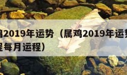 属鸡2019年运势（属鸡2019年运势及运程每月运程）