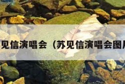 苏见信演唱会（苏见信演唱会图片）