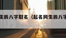 起名网生辰八字取名（起名网生辰八字取名字行吗）