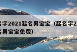 起名字2021起名男宝宝（起名字2021起名男宝宝免费）