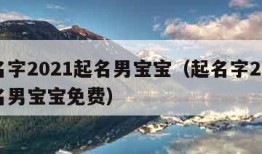 起名字2021起名男宝宝（起名字2021起名男宝宝免费）