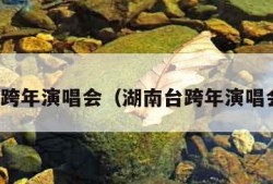 湖南台跨年演唱会（湖南台跨年演唱会直播）