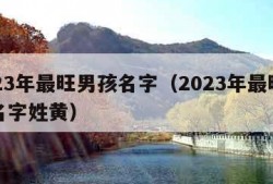 2023年最旺男孩名字（2023年最旺男孩名字姓黄）