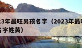 2023年最旺男孩名字（2023年最旺男孩名字姓黄）